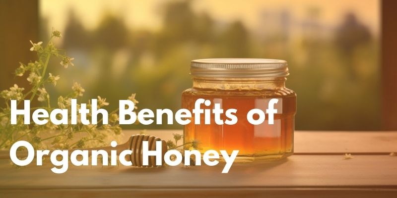 Exploring the Health Benefits of Organic Honey