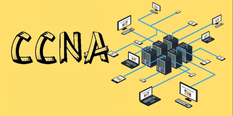 How Does CCNA Help in Building Scalable Networks?