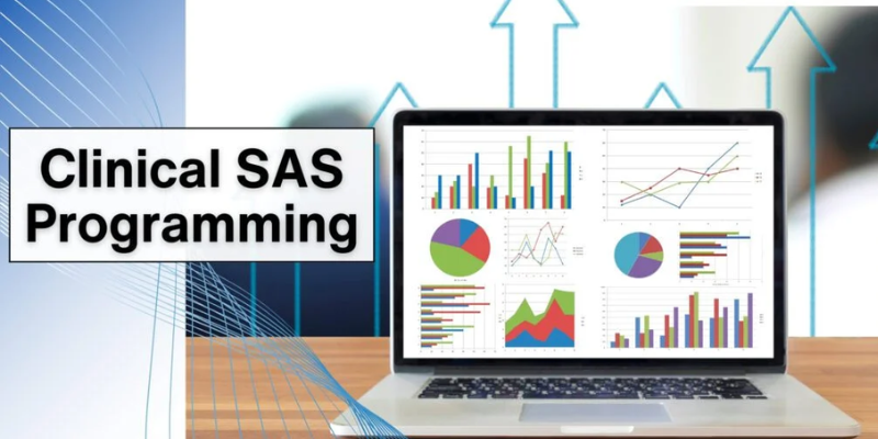 Navigating the World of Clinical SAS: Tips and Techniques for New Programmers